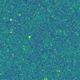 A zoomed-in view showing about 8 percent of the entire photo width.